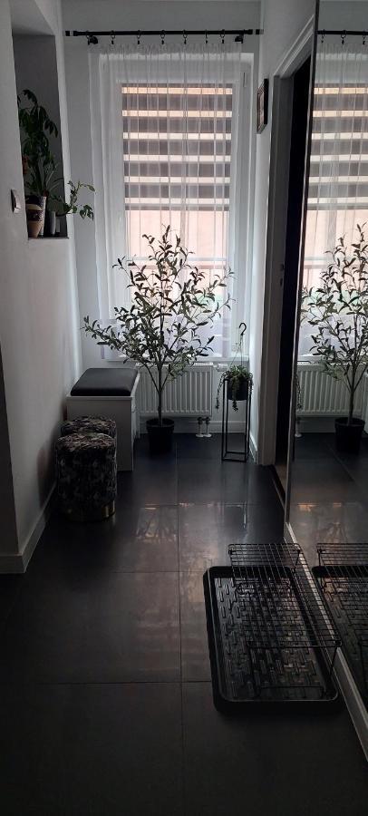 Apartamenty Magvel Szczecin Exterior foto